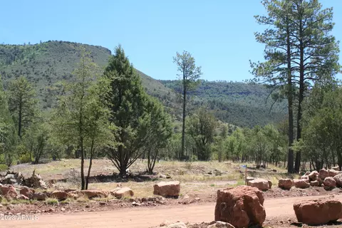 3496 N Mistletoe Dr #217A, Pine, AZ 85544 photo 13
