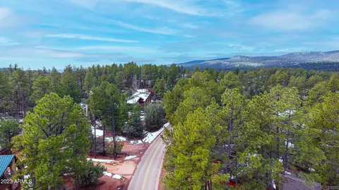 3496 N Mistletoe Dr #217A, Pine, AZ 85544 photo 17