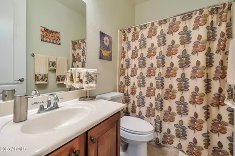 11323 E Solina Cir, Mesa, AZ 85212 photo 34