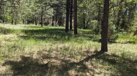 3442 E Colcord Rd, Payson, AZ 85541 photo 12