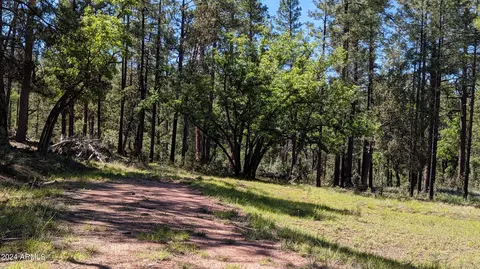 3442 E Colcord Rd, Payson, AZ 85541 photo 19