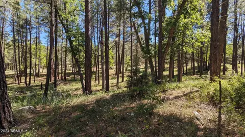 3442 E Colcord Rd, Payson, AZ 85541 photo 17