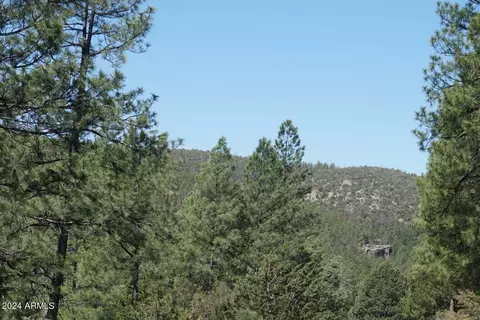 3442 E Colcord Rd, Payson, AZ 85541 photo 25