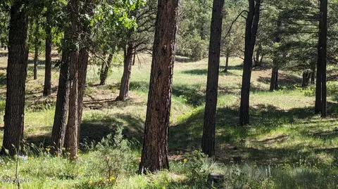 3442 E Colcord Rd, Payson, AZ 85541 photo 15
