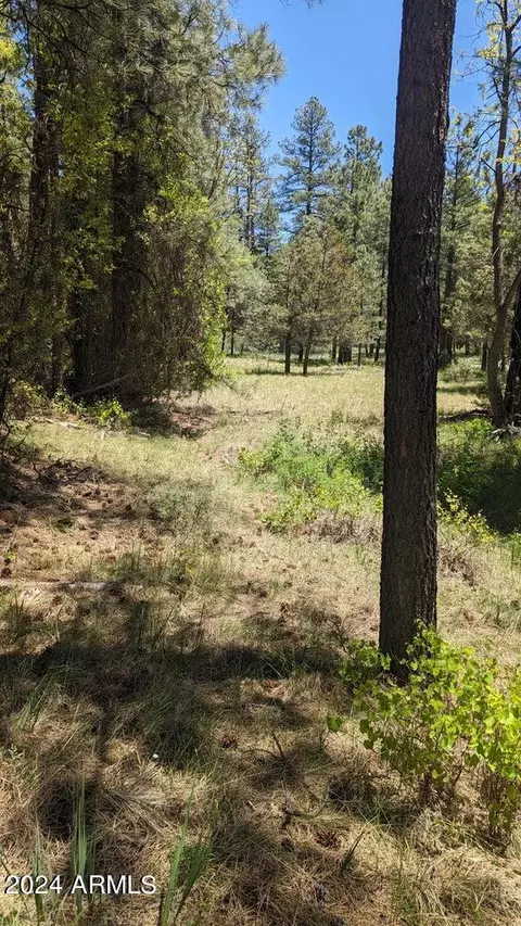 3442 E Colcord Rd, Payson, AZ 85541 photo 11
