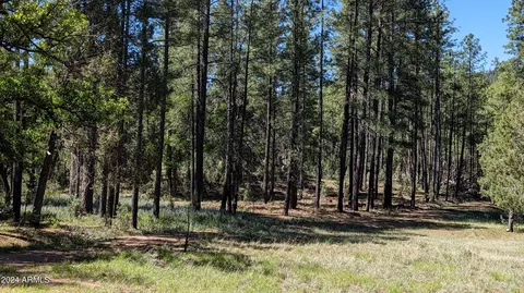 3442 E Colcord Rd, Payson, AZ 85541 photo 20