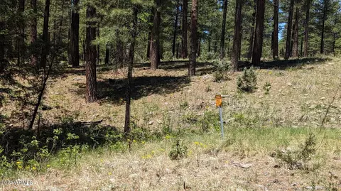 3442 E Colcord Rd, Payson, AZ 85541 photo 24