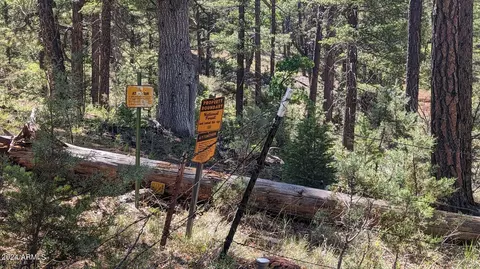3442 E Colcord Rd, Payson, AZ 85541 photo 23