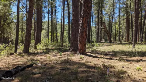 3442 E Colcord Rd, Payson, AZ 85541 photo 9