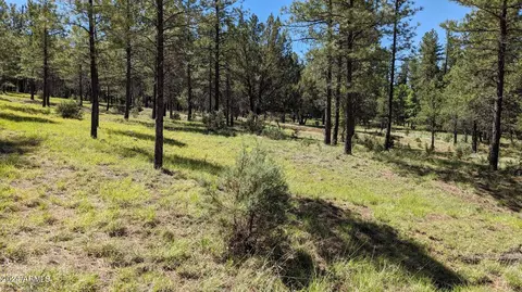 3442 E Colcord Rd, Payson, AZ 85541 photo 14