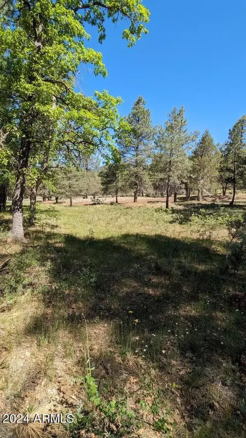 3442 E Colcord Rd, Payson, AZ 85541 photo 16