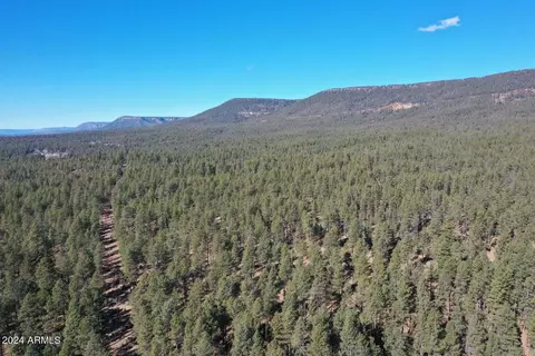 3442 E Colcord Rd, Payson, AZ 85541 photo 47