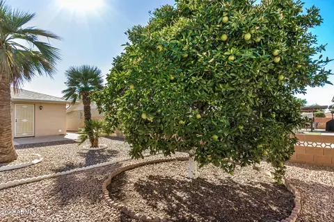 4703 Escondido Ave, Mesa, AZ 85206 photo 23
