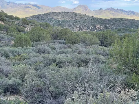 11380 S Quarter Horse Rd #163, Wikieup, AZ 85360