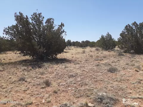 1780 Buffington Hill Road #-, Heber, AZ 85928
