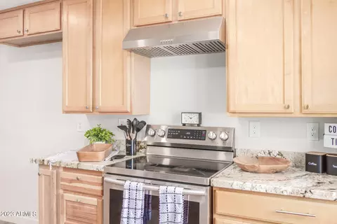 309 E 10th Ave, Mesa, AZ 85210 photo 9