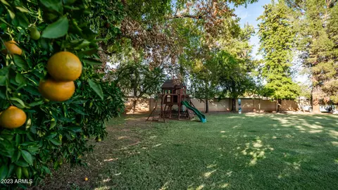 642 E Houston Ave, Gilbert, AZ 85234 photo 56