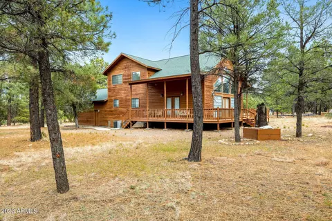 2972 Rim Cir, Overgaard, AZ 85933 photo 25