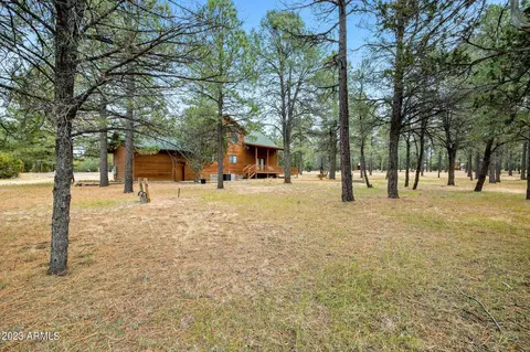 2972 Rim Cir, Overgaard, AZ 85933 photo 28