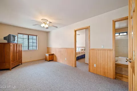 2972 Rim Cir, Overgaard, AZ 85933 photo 19
