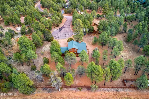 2972 Rim Cir, Overgaard, AZ 85933 photo 31