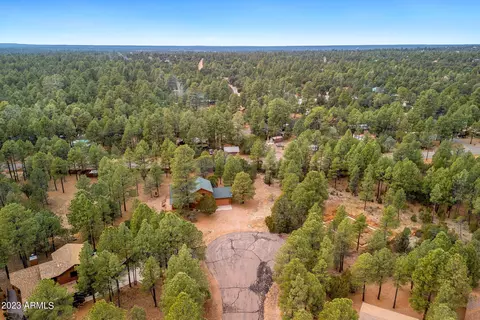 2972 Rim Cir, Overgaard, AZ 85933 photo 30