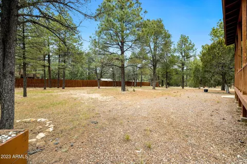 2972 Rim Cir, Overgaard, AZ 85933 photo 26