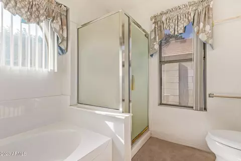 2289 E Willow Wick Rd, Gilbert, AZ 85296 photo 13