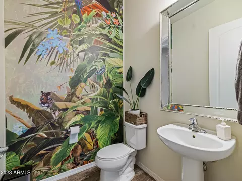 10633 El Paso Cir, Mesa, AZ 85207 photo 32