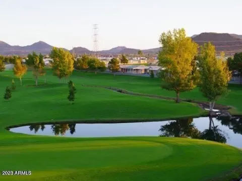 8700 E University Dr #933, Mesa, AZ 85207 photo 29
