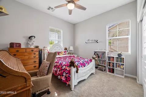 10612 E Nido Ave, Mesa, AZ 85209 photo 49