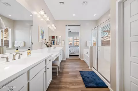 10612 E Nido Ave, Mesa, AZ 85209 photo 42