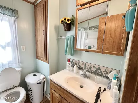 35 S Iron Ore Dr, Apache Junction, AZ 85119 photo 32