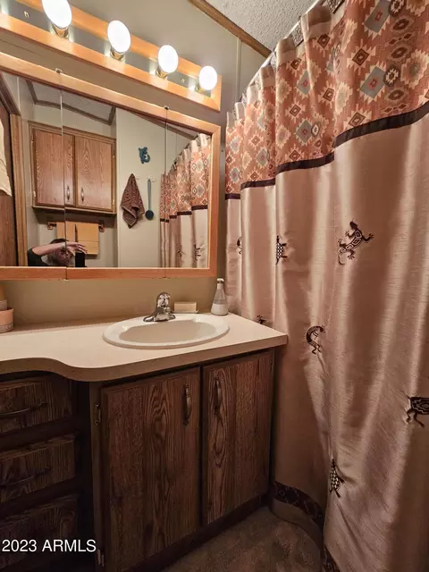 8700 E University Dr #802, Mesa, AZ 85207 photo 21