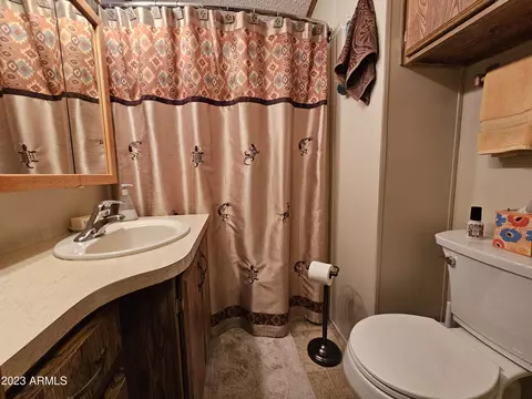 8700 E University Dr #802, Mesa, AZ 85207 photo 20