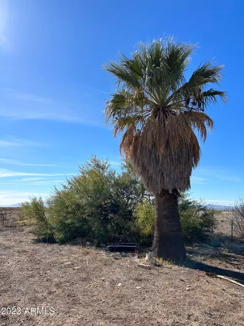 1627 E Loma Vista Dr #992, Douglas, AZ 85607