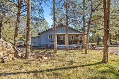 2979 Deer Trl, Overgaard, AZ 85933 photo 25