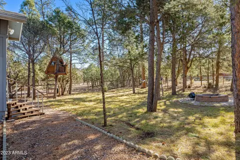 2979 Deer Trl, Overgaard, AZ 85933 photo 2