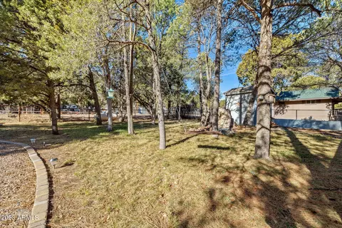 2979 Deer Trl, Overgaard, AZ 85933 photo 24