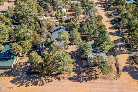 2979 Deer Trl, Overgaard, AZ 85933 photo 35