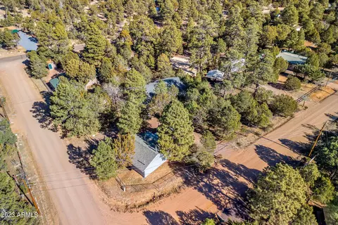 2979 Deer Trl, Overgaard, AZ 85933 photo 34