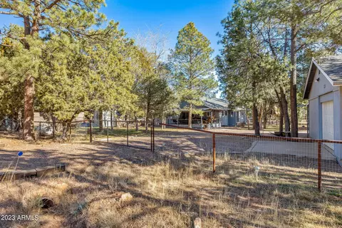 2979 Deer Trl, Overgaard, AZ 85933 photo 30