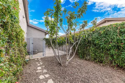 3848 E Dahlia Dr, Phoenix, AZ 85032 photo 24