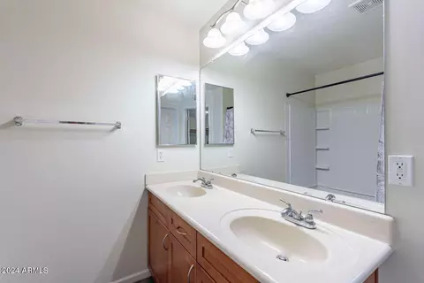 Bath - 1920 E Bell Rd #1009, Phoenix, AZ 85022 photo 1 of 4