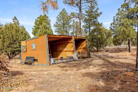 2014 Bird Ln, Overgaard, AZ 85933 photo 32