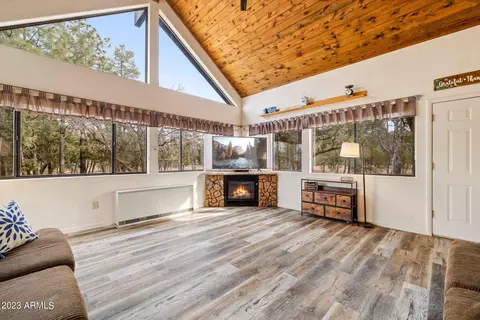 2014 Bird Ln, Overgaard, AZ 85933 photo 17