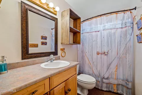 2014 Bird Ln, Overgaard, AZ 85933 photo 26