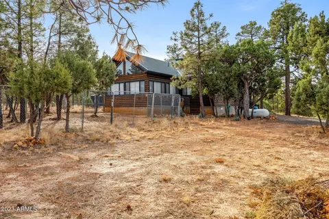 2014 Bird Ln, Overgaard, AZ 85933 photo 27