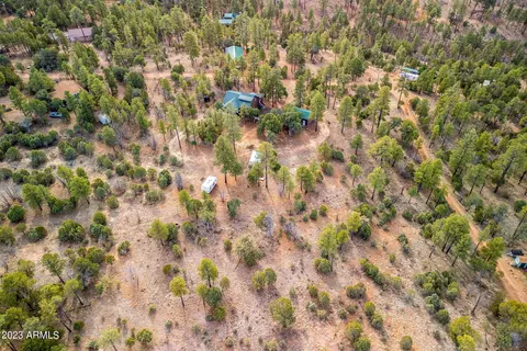 2014 Bird Ln, Overgaard, AZ 85933 photo 37