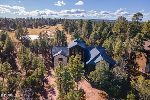 4341 Box Elder Ln, Show Low, AZ 85901 photo 52